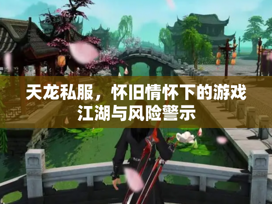 天龙私服，怀旧情怀下的游戏江湖与风险警示