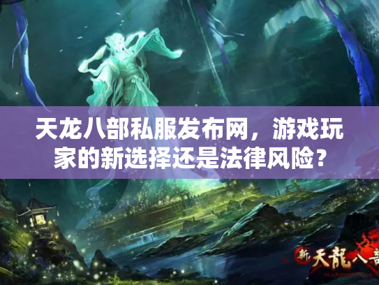 天龙八部私服发布网，游戏玩家的新选择还是法律风险？