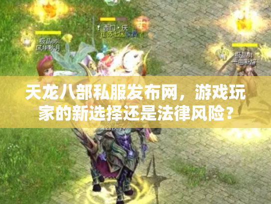 天龙八部私服发布网，游戏玩家的新选择还是法律风险？