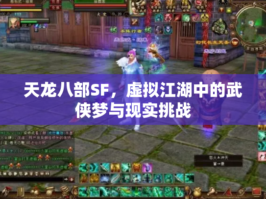 天龙八部SF，虚拟江湖中的武侠梦与现实挑战