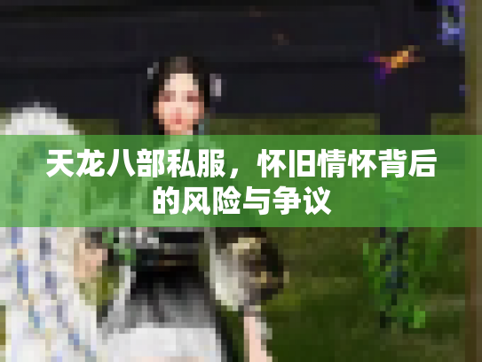 天龙八部私服，怀旧情怀背后的风险与争议