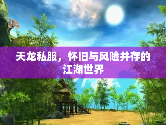 天龙私服，怀旧与风险并存的江湖世界
