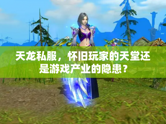 天龙私服，怀旧玩家的天堂还是游戏产业的隐患？