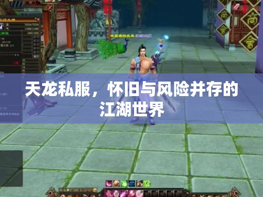 天龙私服，怀旧与风险并存的江湖世界