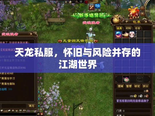 天龙私服，怀旧与风险并存的江湖世界
