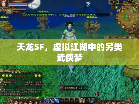 天龙SF，虚拟江湖中的另类武侠梦