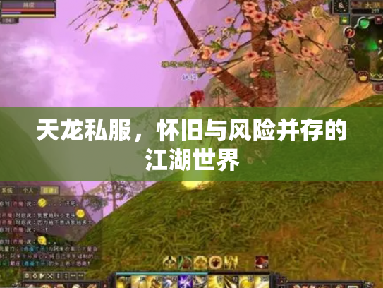 天龙私服，怀旧与风险并存的江湖世界