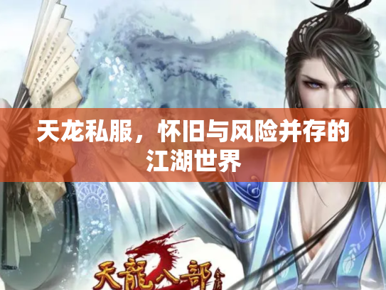 天龙私服，怀旧与风险并存的江湖世界
