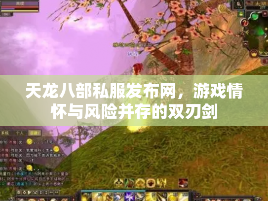 天龙八部私服发布网，游戏情怀与风险并存的双刃剑