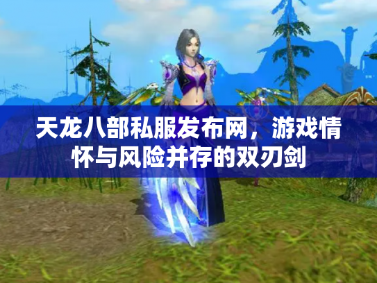 天龙八部私服发布网，游戏情怀与风险并存的双刃剑