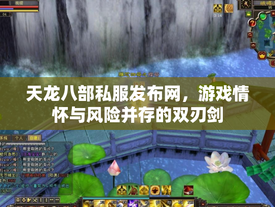 天龙八部私服发布网，游戏情怀与风险并存的双刃剑