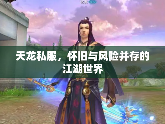 天龙私服，怀旧与风险并存的江湖世界