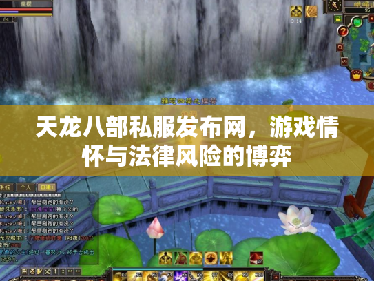 天龙八部私服发布网，游戏情怀与法律风险的博弈