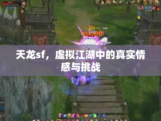 天龙sf，虚拟江湖中的真实情感与挑战