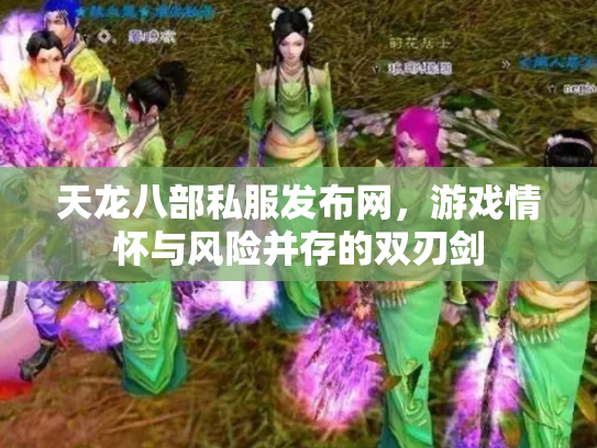 天龙八部私服发布网，游戏情怀与风险并存的双刃剑