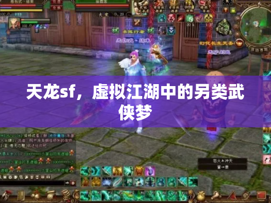 天龙sf，虚拟江湖中的另类武侠梦