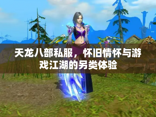 天龙八部私服，怀旧情怀与游戏江湖的另类体验
