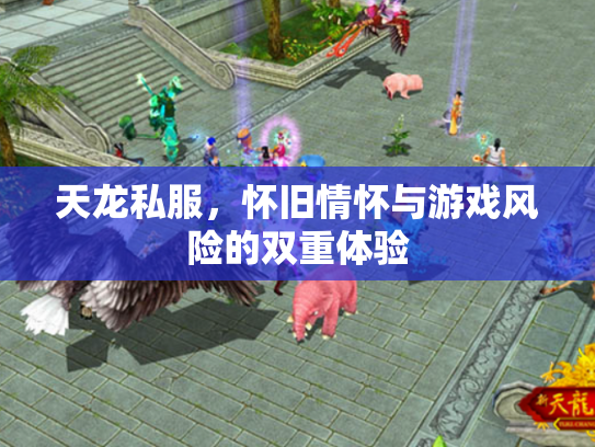 天龙私服，怀旧情怀与游戏风险的双重体验