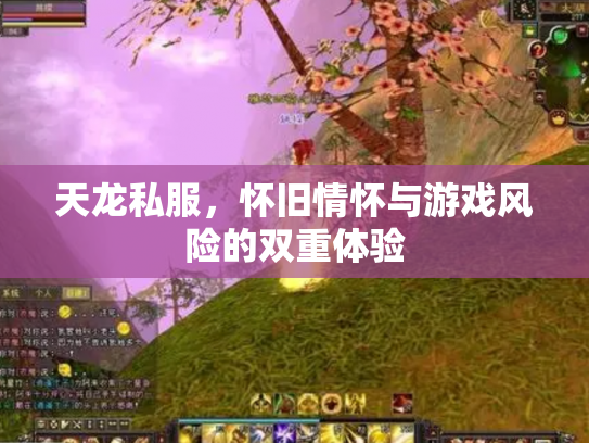 天龙私服，怀旧情怀与游戏风险的双重体验