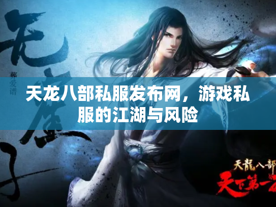 天龙八部私服发布网，游戏私服的江湖与风险