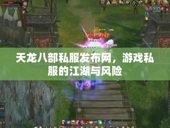 天龙八部私服发布网，游戏私服的江湖与风险