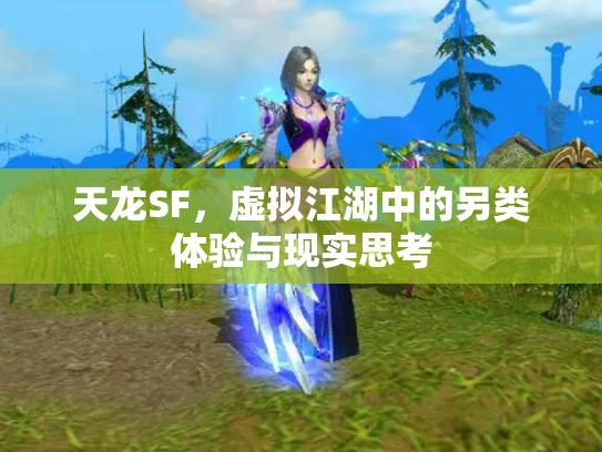 天龙SF，虚拟江湖中的另类体验与现实思考