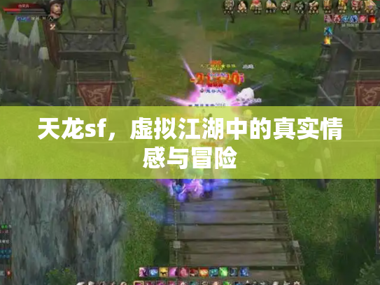 天龙sf，虚拟江湖中的真实情感与冒险