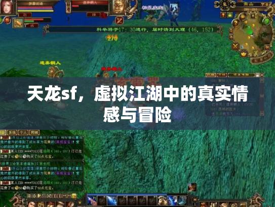 天龙sf，虚拟江湖中的真实情感与冒险