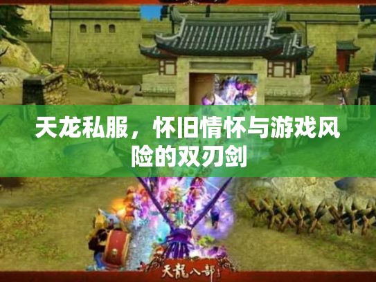 天龙私服，怀旧情怀与游戏风险的双刃剑
