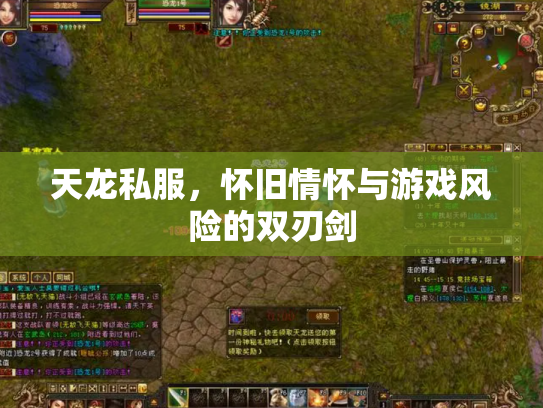 天龙私服，怀旧情怀与游戏风险的双刃剑