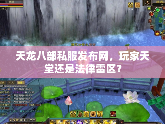 天龙八部私服发布网，玩家天堂还是法律雷区？