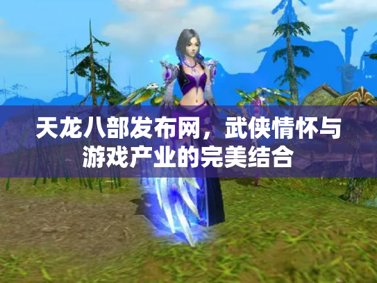 天龙八部发布网，武侠情怀与游戏产业的完美结合