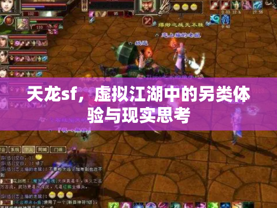 天龙sf，虚拟江湖中的另类体验与现实思考