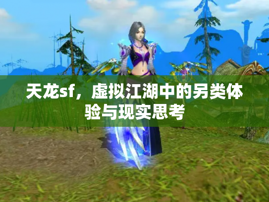 天龙sf，虚拟江湖中的另类体验与现实思考