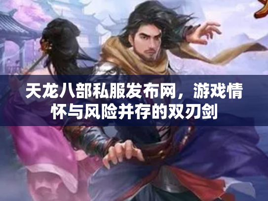 天龙八部私服发布网，游戏情怀与风险并存的双刃剑