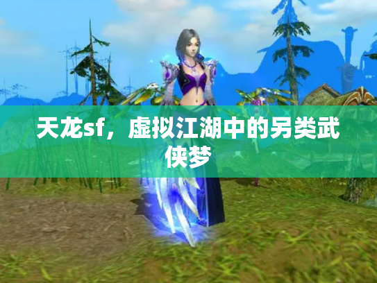 天龙sf，虚拟江湖中的另类武侠梦