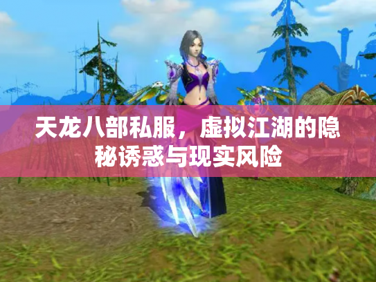 天龙八部私服，虚拟江湖的隐秘诱惑与现实风险