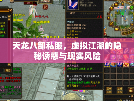天龙八部私服，虚拟江湖的隐秘诱惑与现实风险