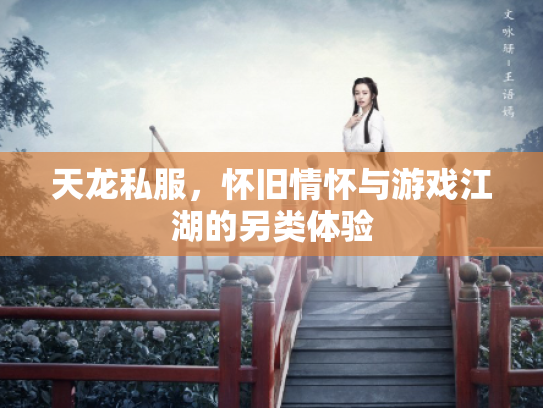 天龙私服，怀旧情怀与游戏江湖的另类体验