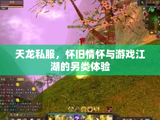 天龙私服，怀旧情怀与游戏江湖的另类体验