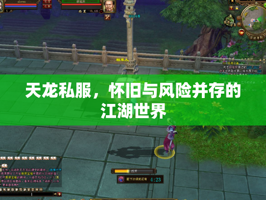 天龙私服，怀旧与风险并存的江湖世界