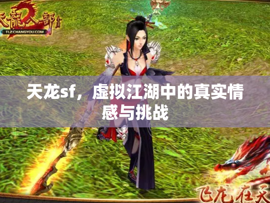 天龙sf，虚拟江湖中的真实情感与挑战