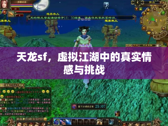 天龙sf，虚拟江湖中的真实情感与挑战