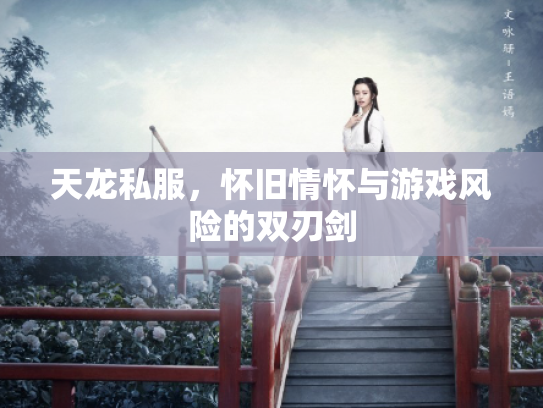 天龙私服，怀旧情怀与游戏风险的双刃剑