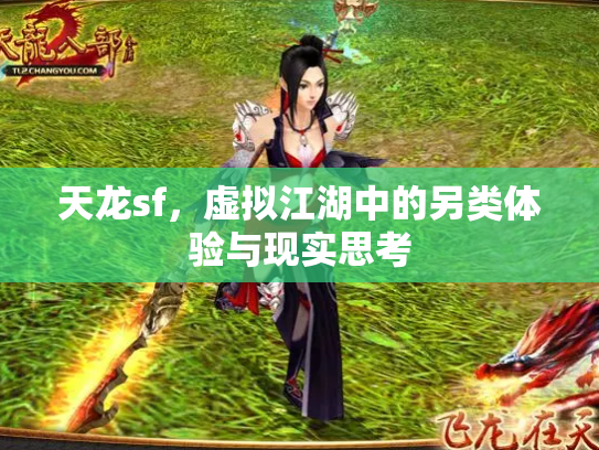 天龙sf，虚拟江湖中的另类体验与现实思考