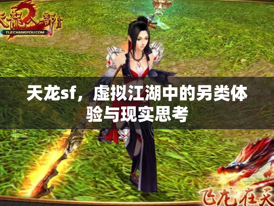 天龙sf，虚拟江湖中的另类体验与现实思考