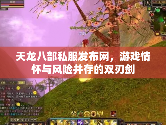 天龙八部私服发布网，游戏情怀与风险并存的双刃剑