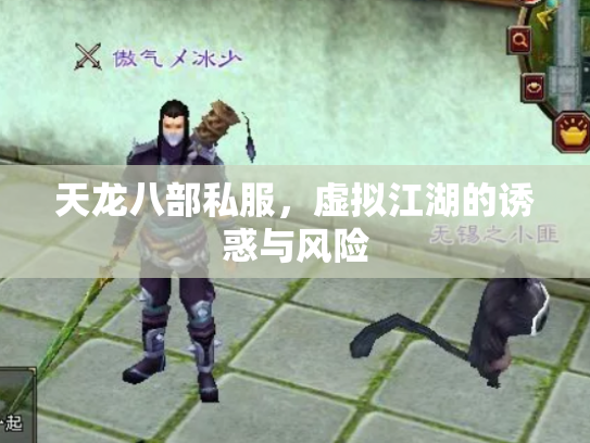 天龙八部私服，虚拟江湖的诱惑与风险