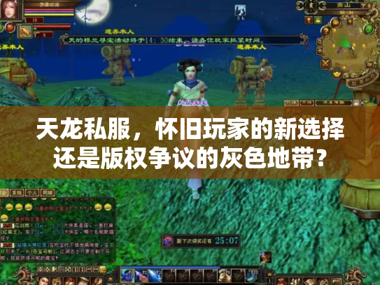 天龙私服，怀旧玩家的新选择还是版权争议的灰色地带？