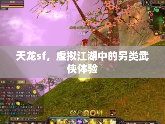 天龙sf，虚拟江湖中的另类武侠体验